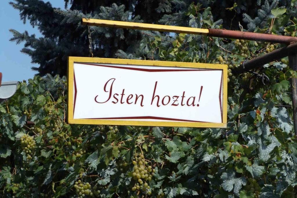 Opusztaszeri Mozes Vendeghaz Hotel Bagian luar foto