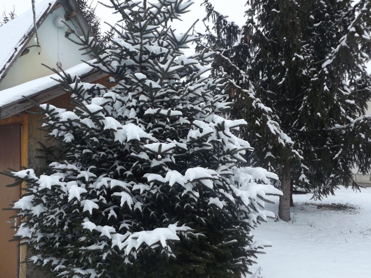 Opusztaszeri Mozes Vendeghaz Hotel Bagian luar foto